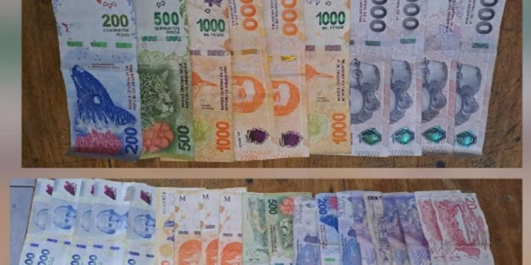 Detuvieron en Chimbas a una empleada doméstica por robarle más de $100 mil a su patrona