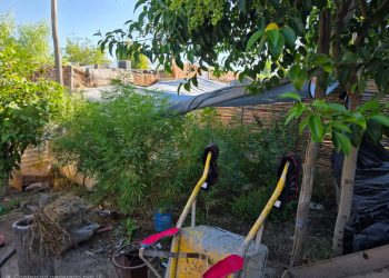 Buscan intensamente a una joven de 15 años desaparecida en San Juan