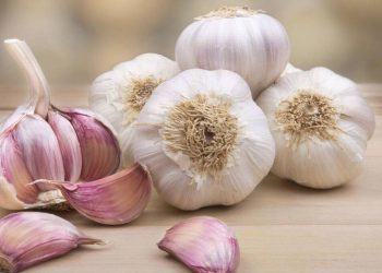 La mejor forma de cocinar ajo para conservar sus propiedades y potenciar su efecto saludable