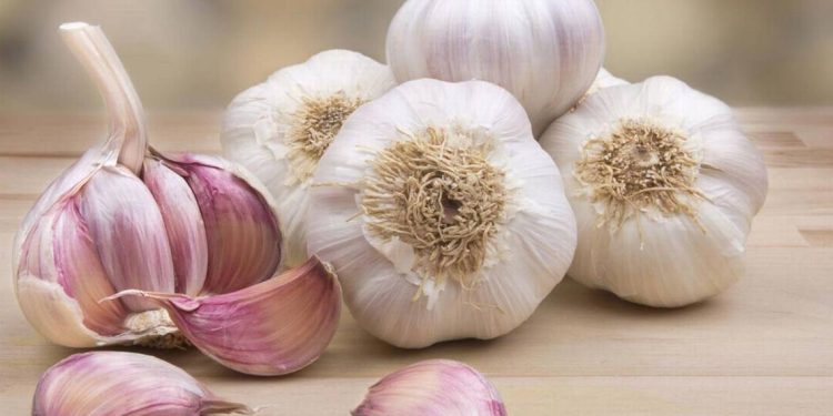La mejor forma de cocinar ajo para conservar sus propiedades y potenciar su efecto saludable