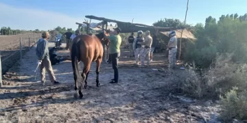 Desmantelan carreras clandestinas de caballos en Cochagual: hay seis detenidos