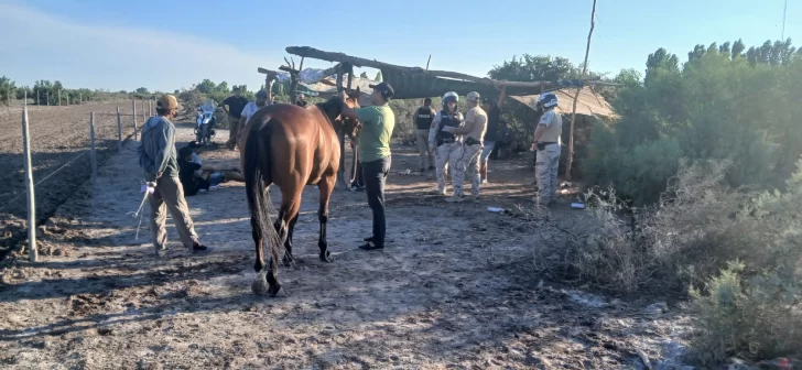 Desmantelan carreras clandestinas de caballos en Cochagual: hay seis detenidos