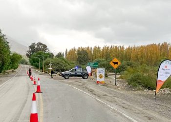 Ambiente solicita bajar la velocidad en rutas para proteger la fauna silvestre