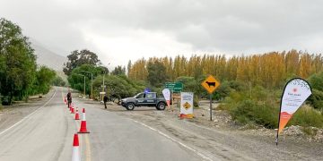 Ambiente solicita bajar la velocidad en rutas para proteger la fauna silvestre