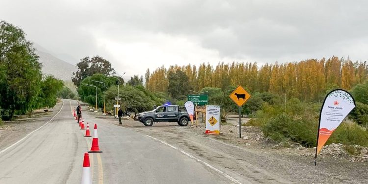 Ambiente solicita bajar la velocidad en rutas para proteger la fauna silvestre
