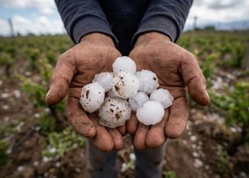 Evalúan daños por la tormenta en zonas productivas de San Juan
