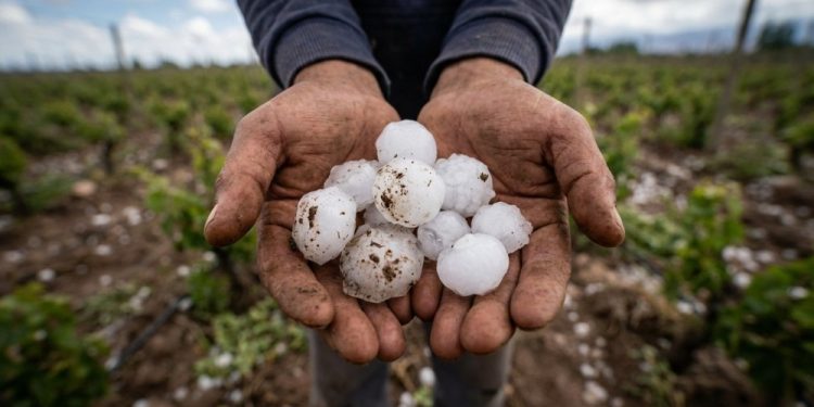 Evalúan daños por la tormenta en zonas productivas de San Juan