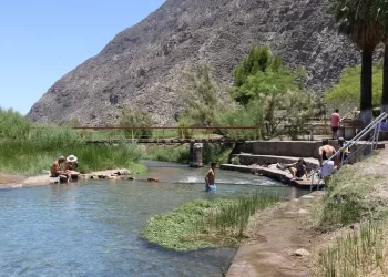 Operativo especial para rescatar a un perro atrapado en un cerro de difícil acceso en Agua Negra