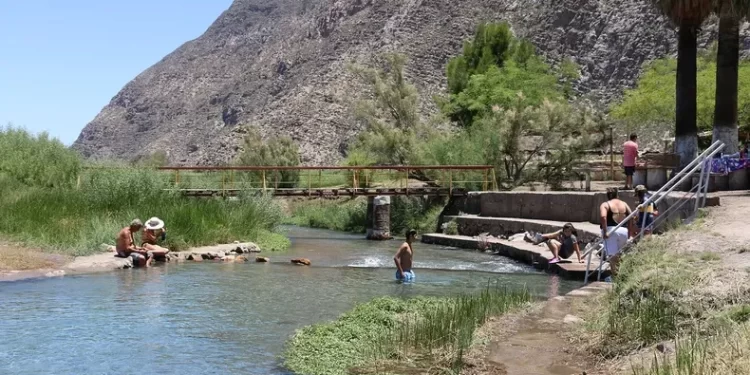 Operativo especial para rescatar a un perro atrapado en un cerro de difícil acceso en Agua Negra