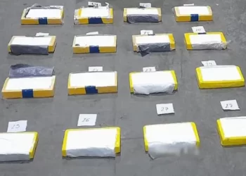 Cargamento narco frustrado en San Juan: hallaron 64 kilos de cocaína ocultos en banana