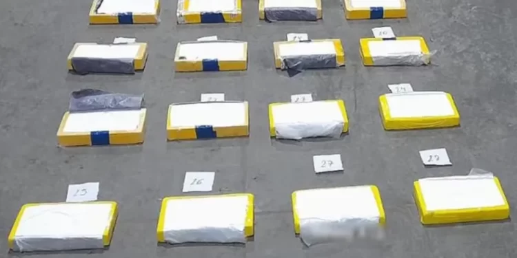 Cargamento narco frustrado en San Juan: hallaron 64 kilos de cocaína ocultos en banana