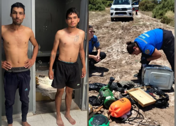 Un allanamiento por un arma robada derivó en el hallazgo de un cultivo de marihuana