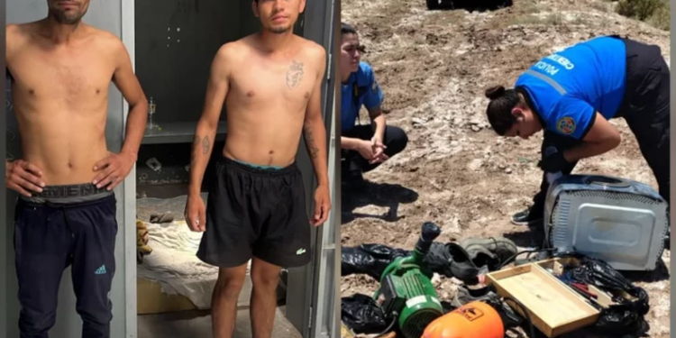 Un allanamiento por un arma robada derivó en el hallazgo de un cultivo de marihuana