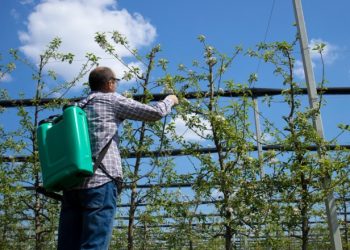 San Juan lanzó una línea de financiamiento para prevenir plagas y enfermedades
