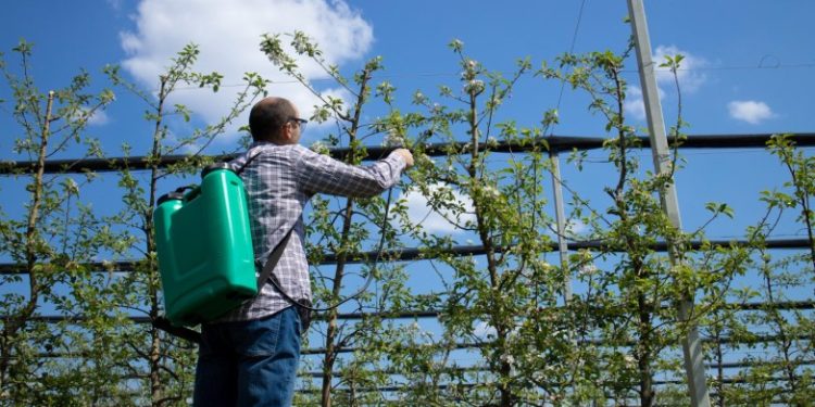 San Juan lanzó una línea de financiamiento para prevenir plagas y enfermedades
