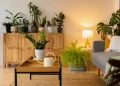 Las plantas de interior que ayudan a mantener los ambientes frescos