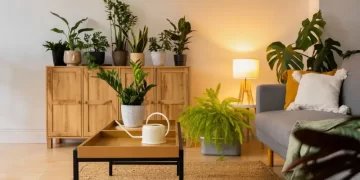 Las plantas de interior que ayudan a mantener los ambientes frescos