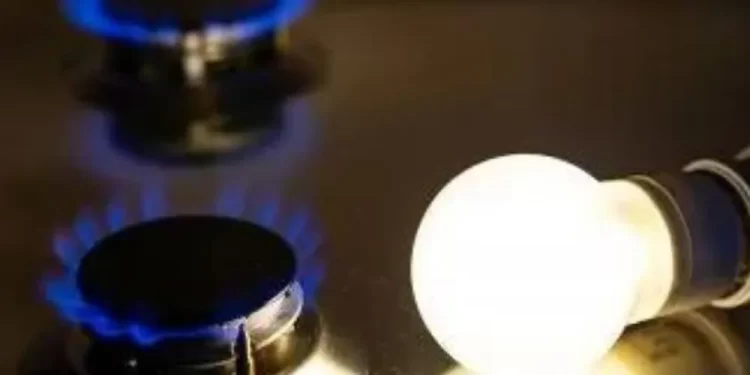 Cómo solicitar el subsidio a la luz y al gas en la nueva página web del Gobierno