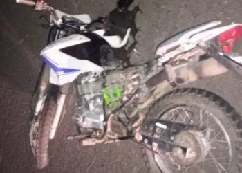 Murió un motociclista tras chocar contra un perro