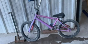 Detuvieron a un joven de 23 años acusado de robar una bicicleta