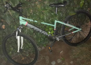 Detienen a una joven y a un hombre tras intentar sustraer una bicicleta