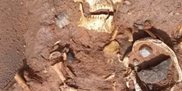 Hallazgo de restos óseos en Caucete: investigan su origen tras la creciente del río en Marayes