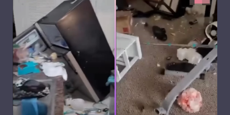 Niño de 12 años destruyó su casa luego de que le quitaran el celular