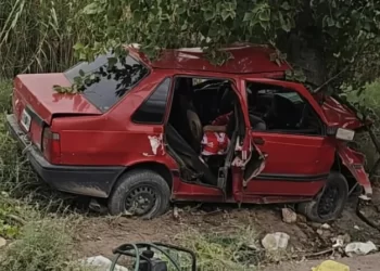 Dolor: un joven de 32 años chocó en su auto con un árbol y murió en el acto