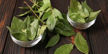 Hervir laurel con menta: el truco casero que gana popularidad por sus beneficios para la salud y el hogar