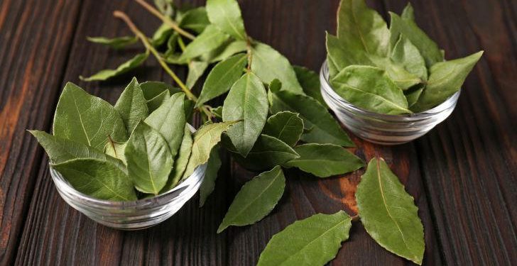 Hervir laurel con menta: el truco casero que gana popularidad por sus beneficios para la salud y el hogar