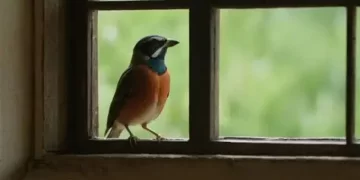 Qué significa que un pájaro se pose en tu ventana o balcón: la explicación del Feng Shui