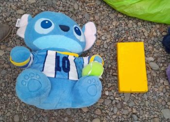 Detuvieron a una mujer que llevaba más de un kilo de cocaína escondido dentro de un peluche