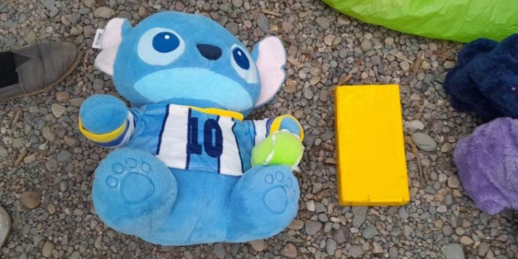 Detuvieron a una mujer que llevaba más de un kilo de cocaína escondido dentro de un peluche