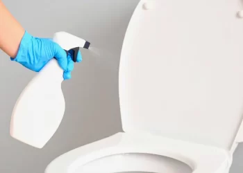 Por qué recomiendan rociar vinagre en el inodoro