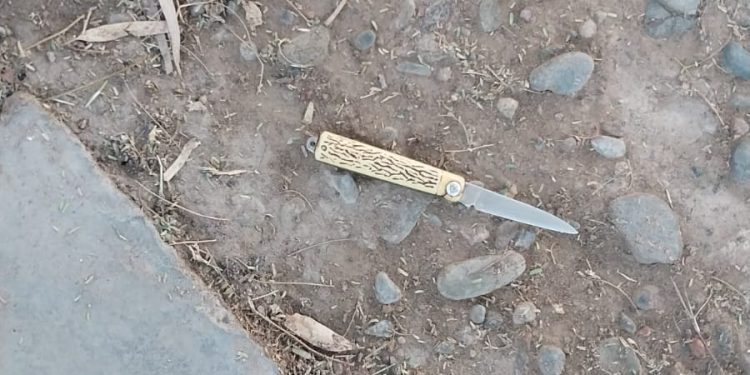 Intentó robar un celular con un arma blanca y terminó detenido