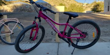 Intento de robo en Ceferino Namuncurá: detuvieron a dos hombres tras intentar sustraer una bicicleta