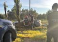 Conmoción: un joven de 27 años murió tras chocar de frente contra un árbol