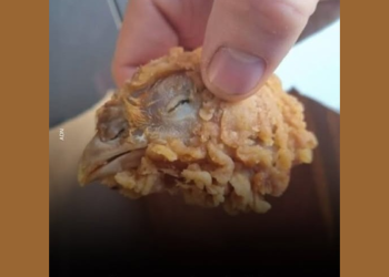 Repugnante: fue a comprar alitas y encontró una cabeza de pollo