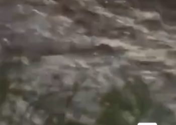 Alerta por lluvias en Los Berros: reportan bajada de creciente y complicaciones en varias rutas de Sarmiento