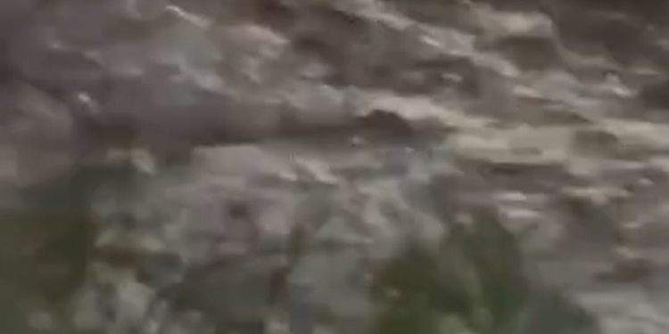 Alerta por lluvias en Los Berros: reportan bajada de creciente y complicaciones en varias rutas de Sarmiento