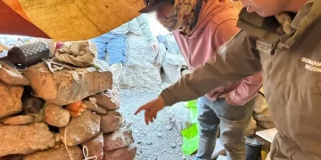 Foto gentileza