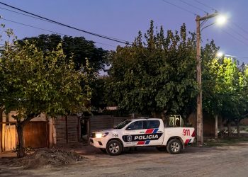 Tragedia: un hombre murió tras caer de un árbol mientras podaba