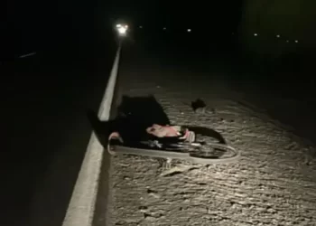 Grave choque y fuga en San Juan: un ciclista pelea por su vida tras ser hallado inconsciente en Ruta 20