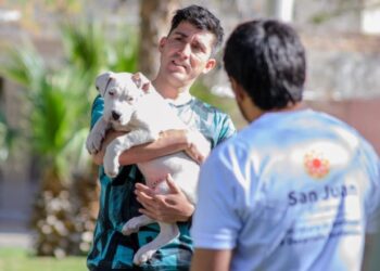 Realizarán operativos y actividades gratuitas en el marco del Día del Animal