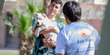 Realizarán operativos y actividades gratuitas en el marco del Día del Animal