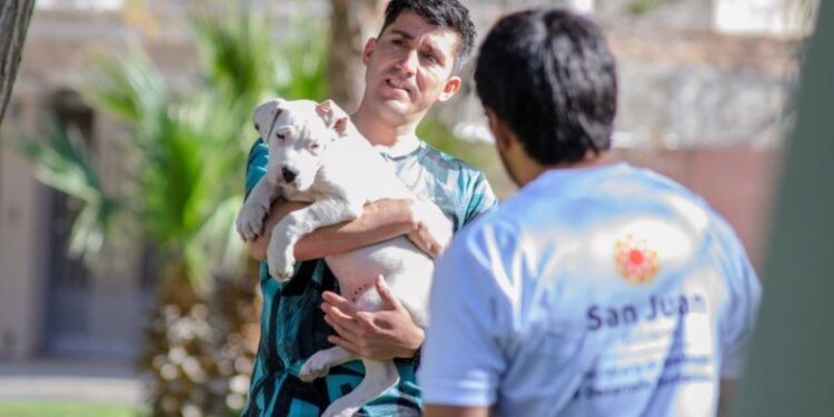 Realizarán operativos y actividades gratuitas en el marco del Día del Animal