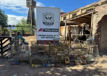 Operativo en Caucete: cayó un hombre por comercializar fauna autóctona