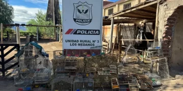 Operativo en Caucete: cayó un hombre por comercializar fauna autóctona