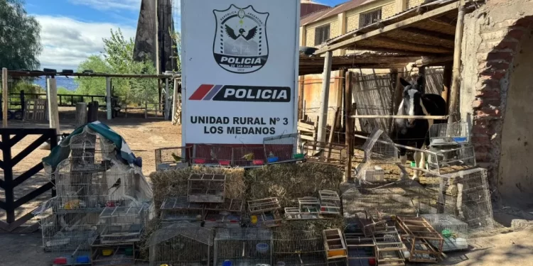 Operativo en Caucete: cayó un hombre por comercializar fauna autóctona