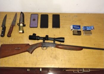 Ullum: detienen a tres hombres con guanacos faenados y un arma ilegal en Ruta 149